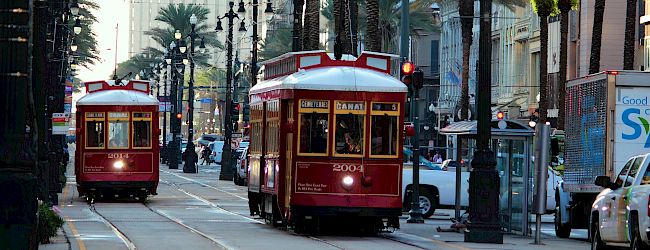 The image shows two red streetcars on a city street lined with palm trees and tall buildings, with a blue sky in the background.